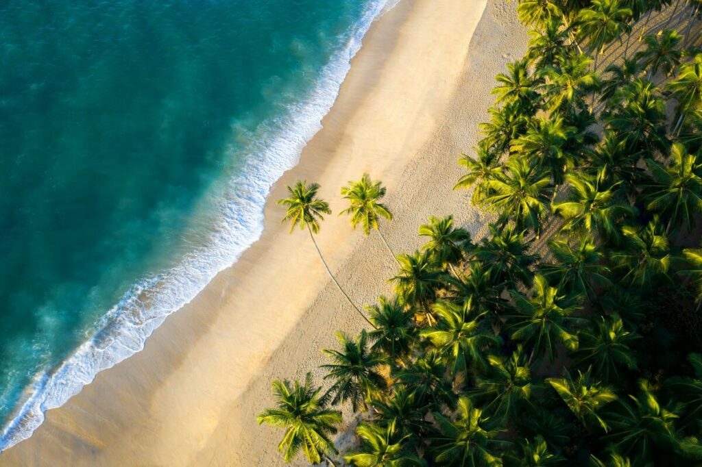 Yoga practitioner practicing on a peaceful beach in Sri Lanka near the ocean
