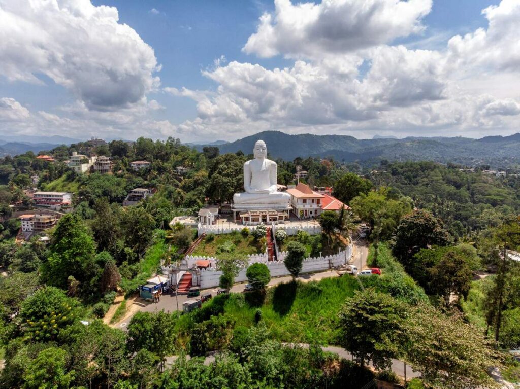 Yoga practice surrounded by nature and cultural landscapes in Sri Lanka